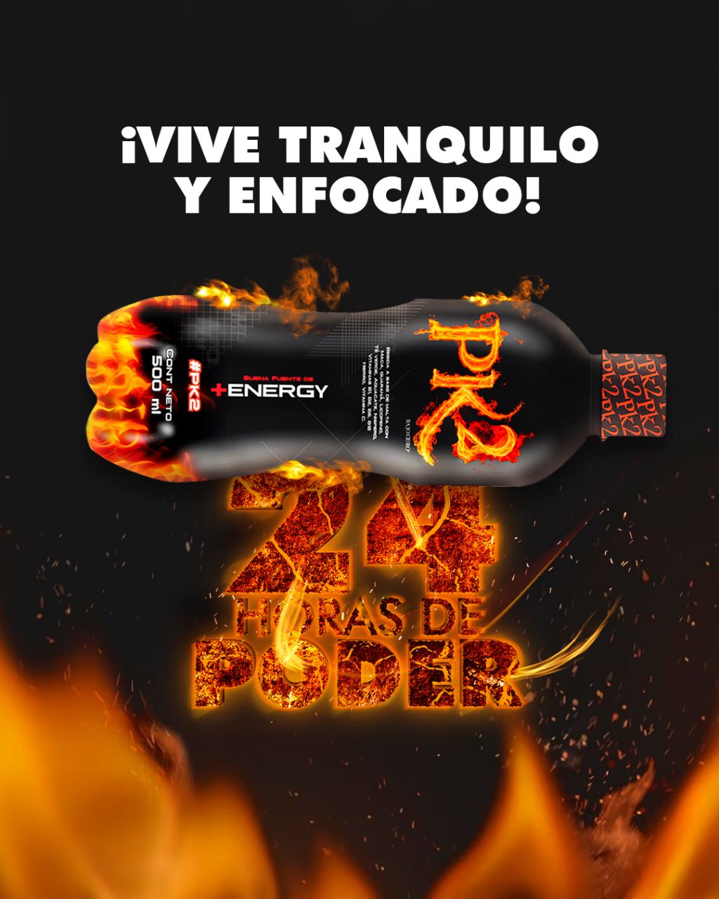 PK2 BEBIDA 500 ML