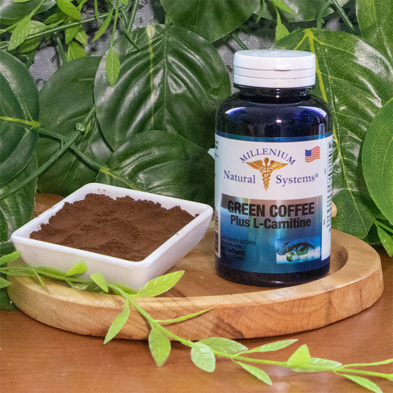Green Coffee Plus L Carnitine x 60 Softgels